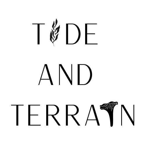 cropped-Tide-and-Terrain-5.png
